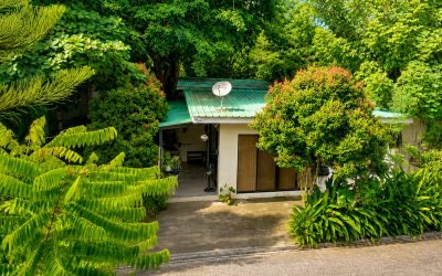 Where to Stay in Davao City: A Local’s Guide for First-Time Visitors